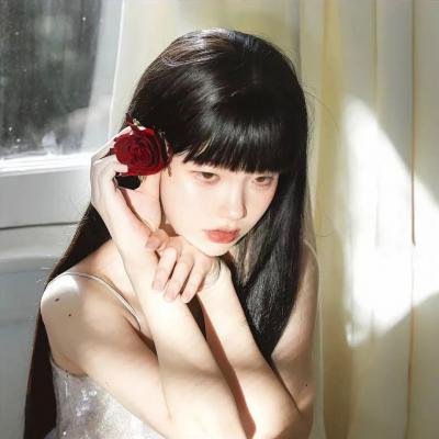 刑事7人 第五季